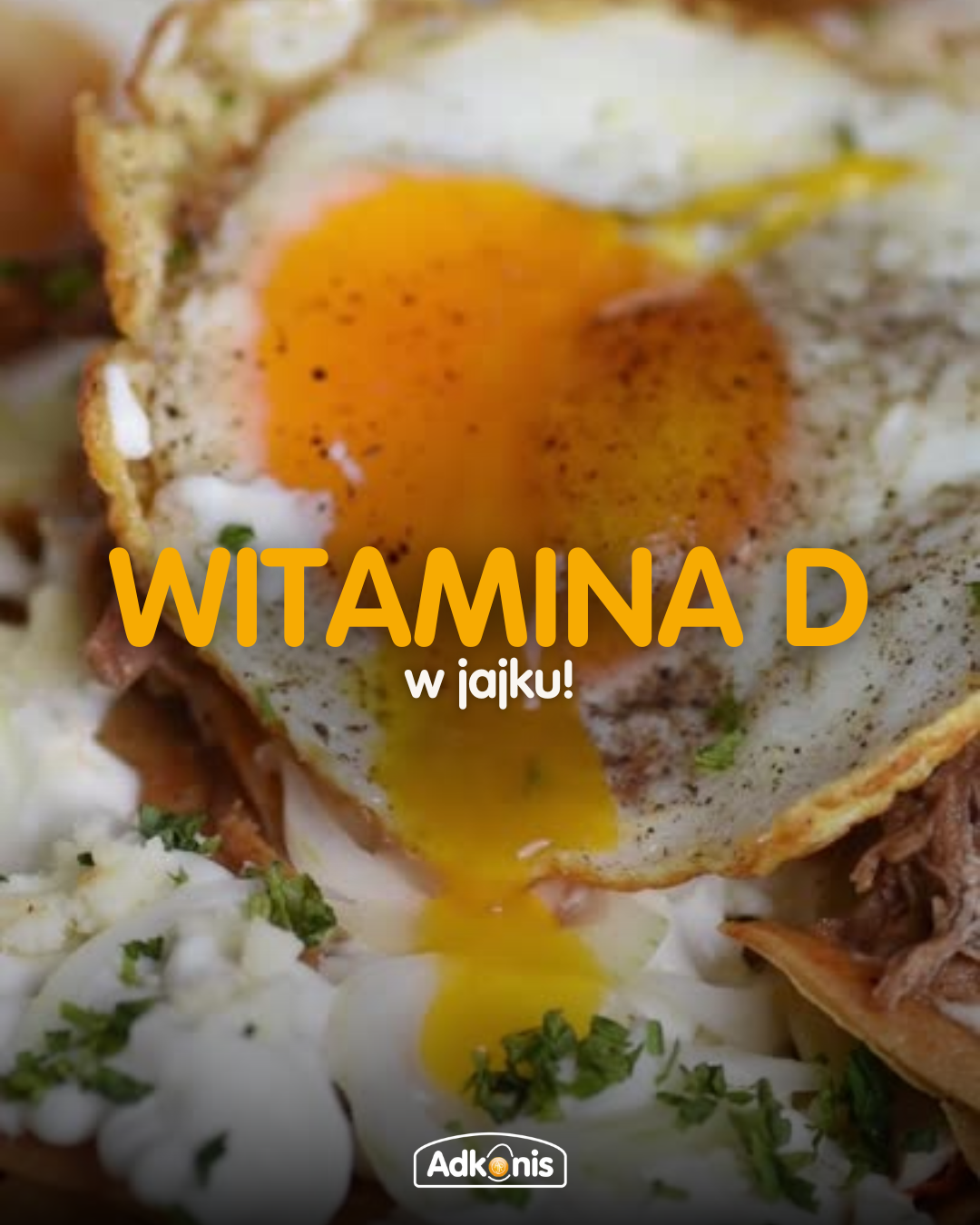 Jak piknik - to gdzie (32)